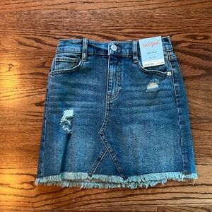 Cat and Jack Denim Skirt